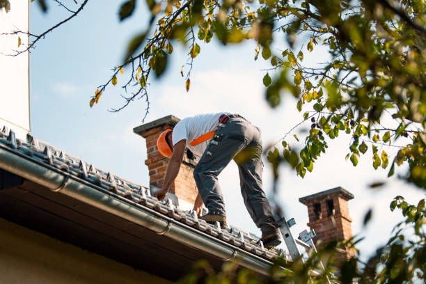 Best Flat Roof Repair Services  in Lead, SD
